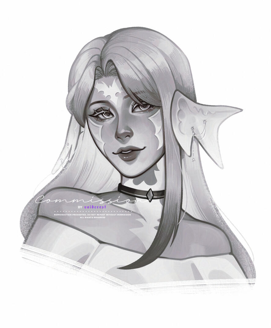 COMMISSION - DO NOT USE