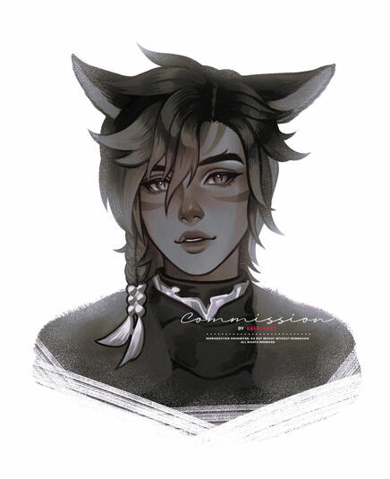 COMMISSION - DO NOT USE COMMISSION - DO NOT USE
