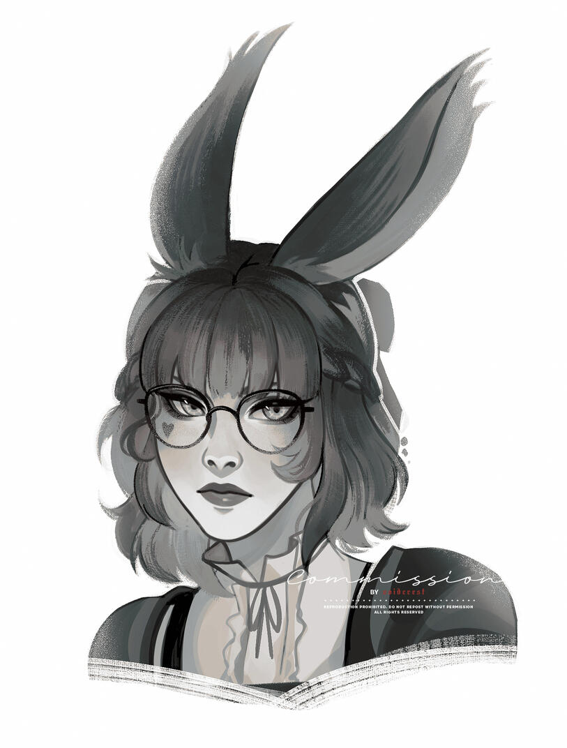 COMMISSION - DO NOT USE