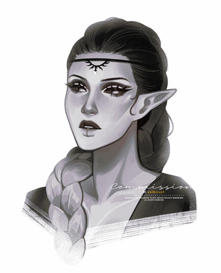 COMMISSION - DO NOT USE COMMISSION - DO NOT USE