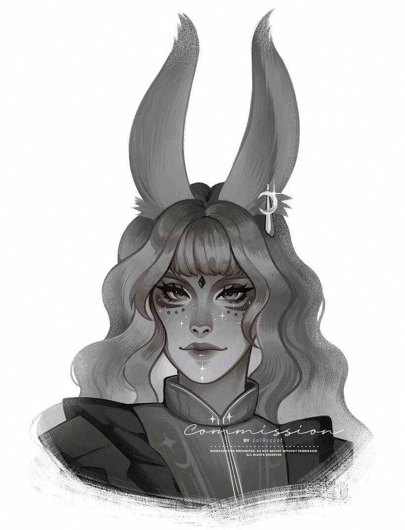 COMMISSION - DO NOT USE