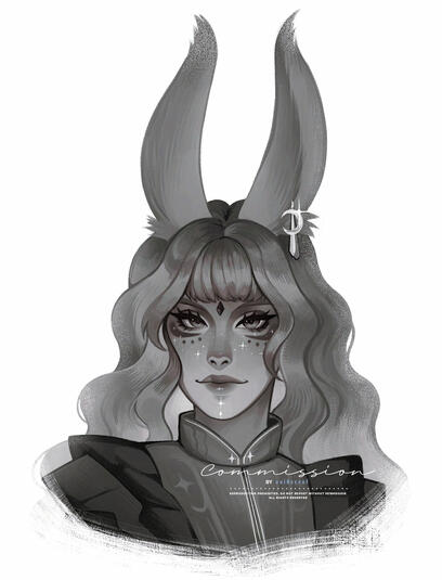 COMMISSION - DO NOT USE COMMISSION - DO NOT USE