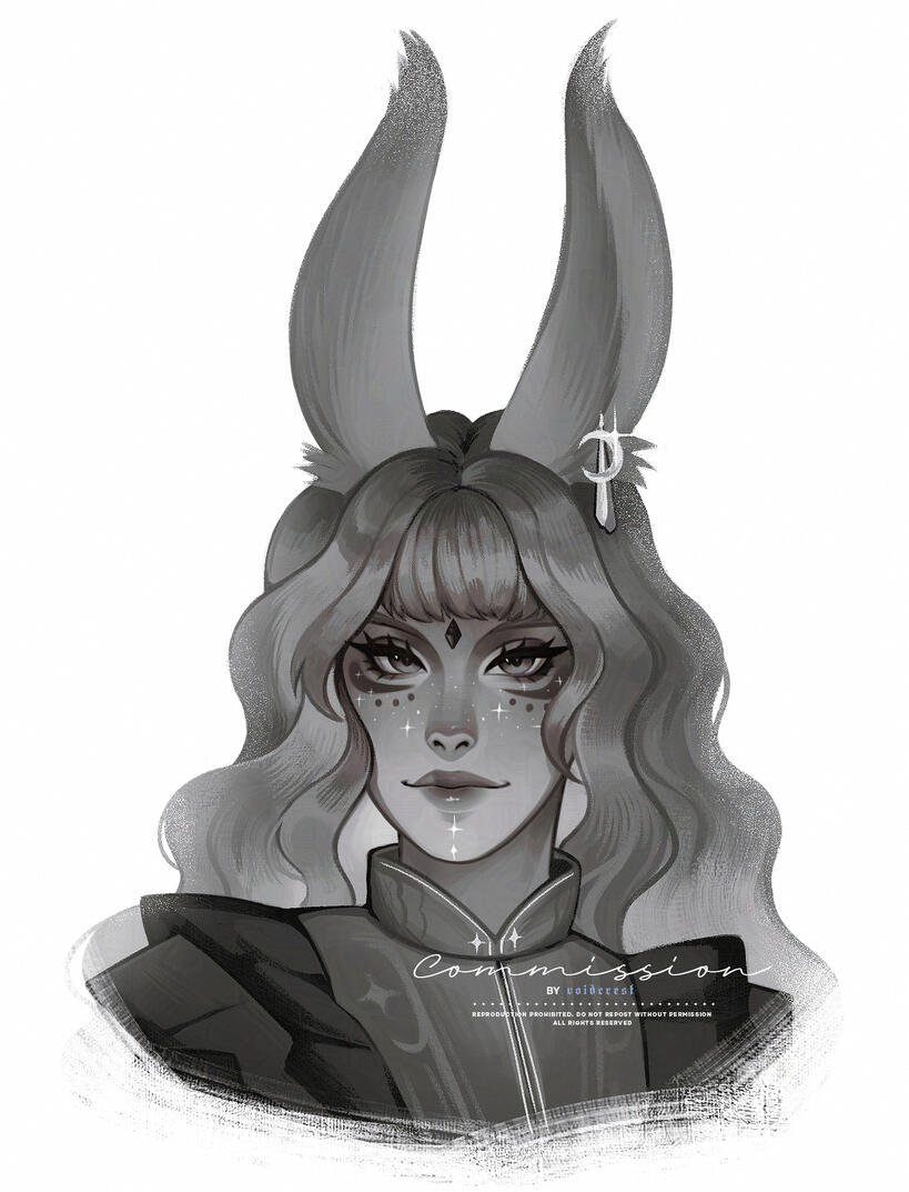COMMISSION - DO NOT USE COMMISSION - DO NOT USE