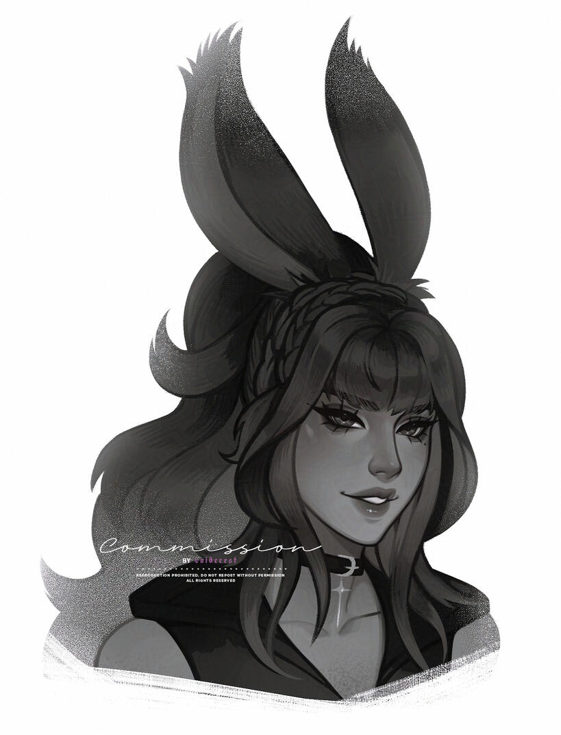 COMMISSION - DO NOT USE COMMISSION - DO NOT USE