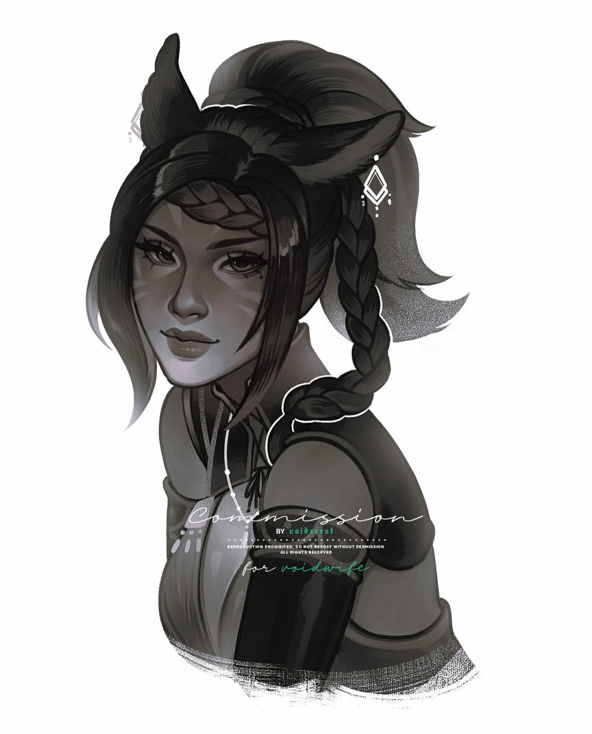 COMMISSION - DO NOT USE